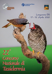 2026 concorso